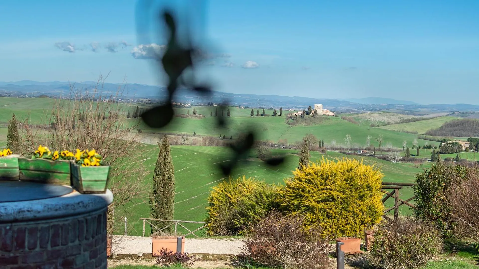 Sunflower Con Vista Su Siena Corsano  Italy