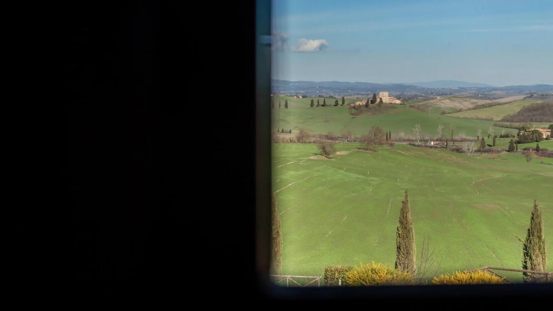 Sunflower Con Vista Su Siena Corsano  Italy